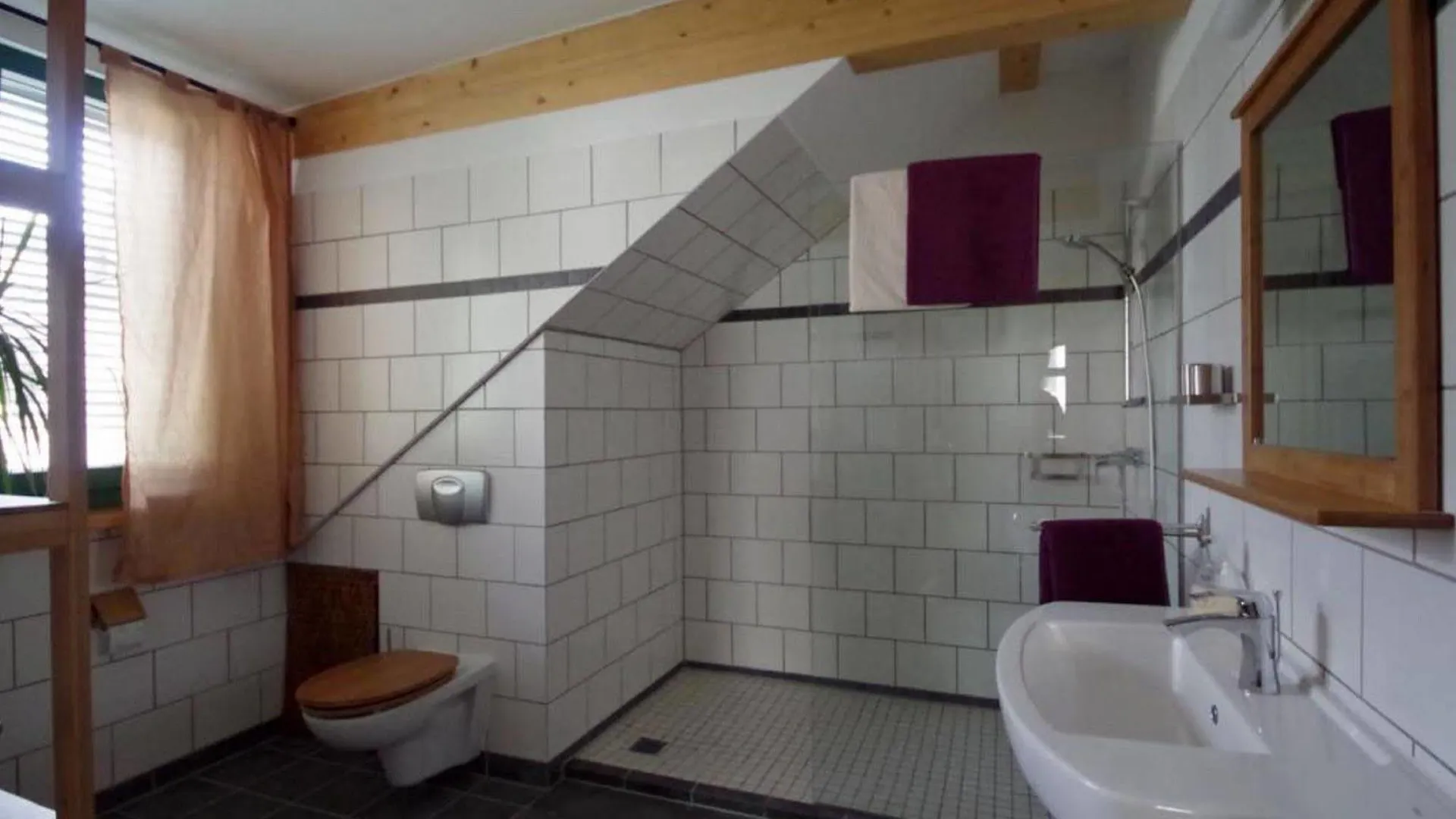 Altes Waschhaus Dresden Apartment 0*,  Germany